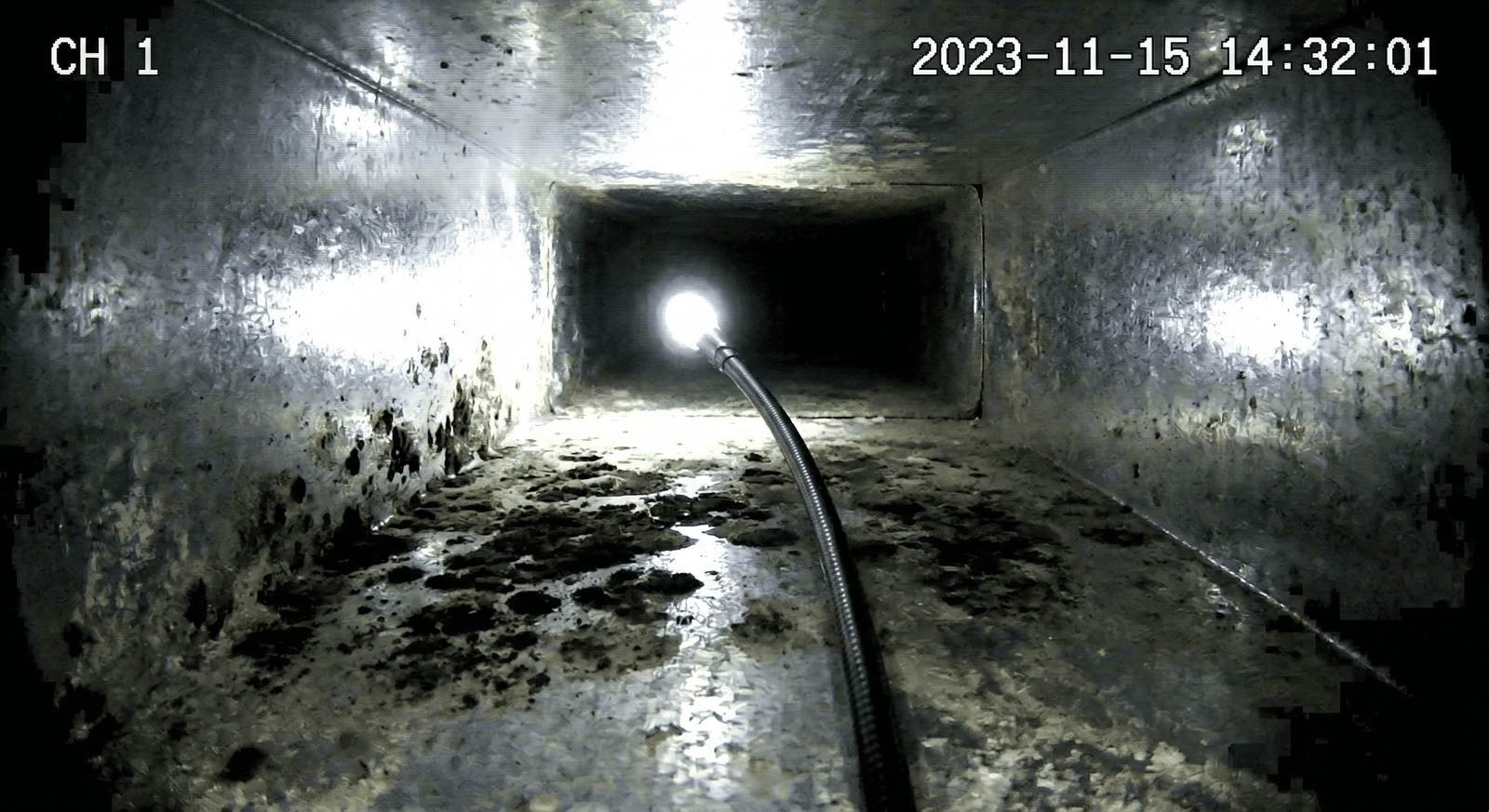 IICRC certified mold inspector performing a moisture assessment in a Spokane WA home